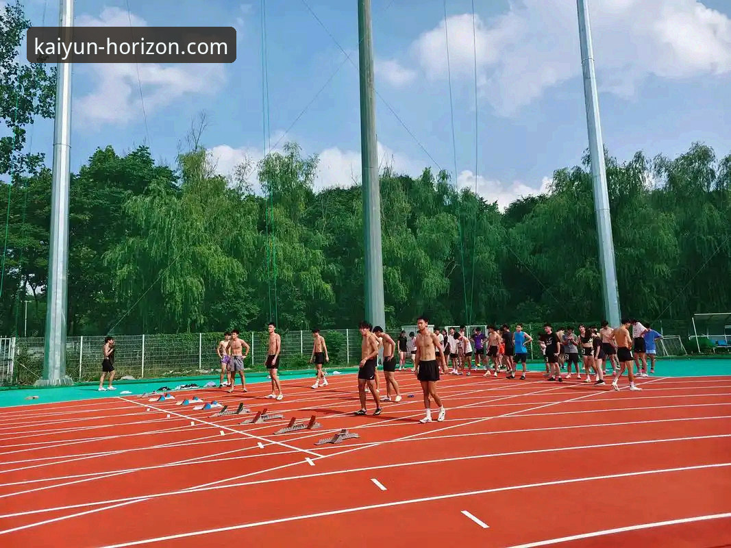 开云体育平台2026新手入门指南：一次前瞻性的全面评测